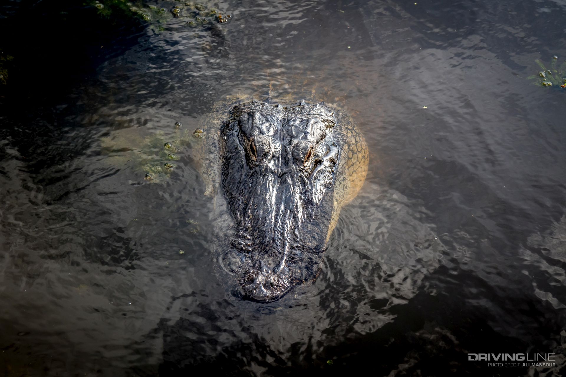 2017-jk-experience-big-river-nitto-tire