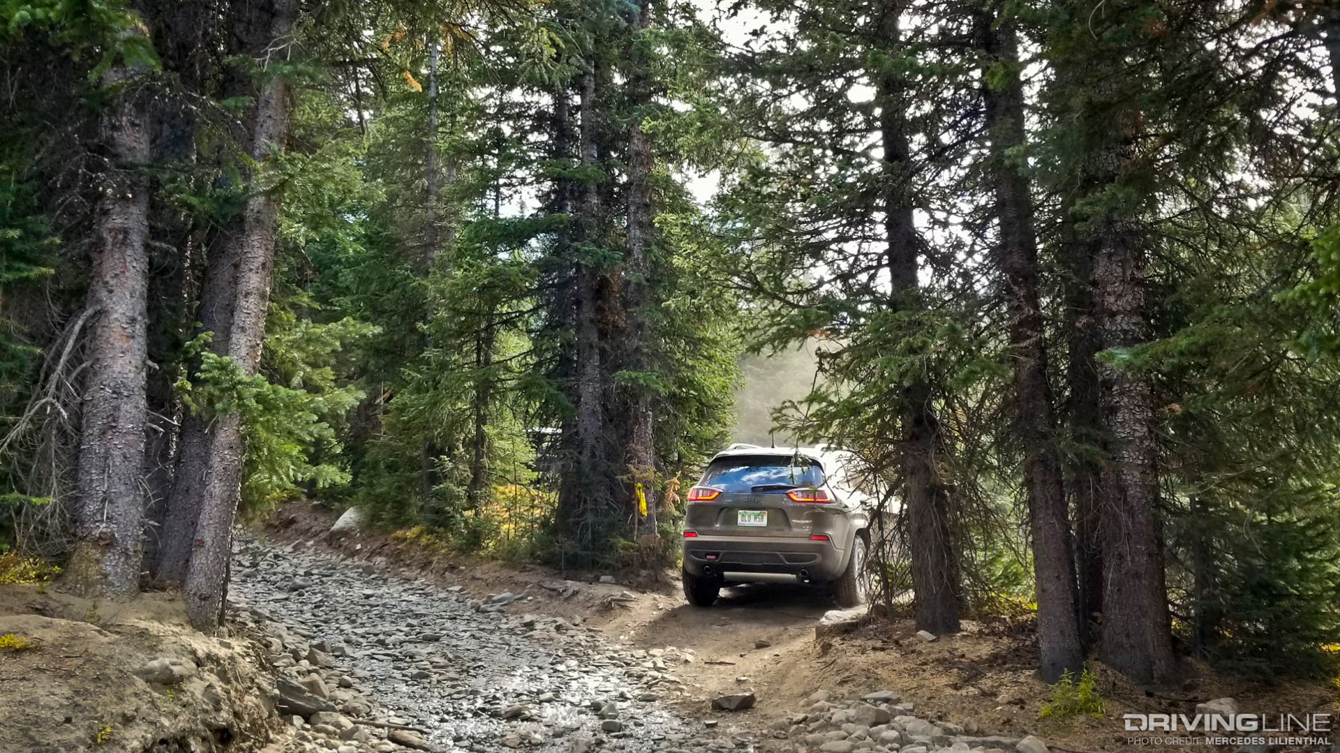 Jeep Cherokee Trailhawk on wooded trails