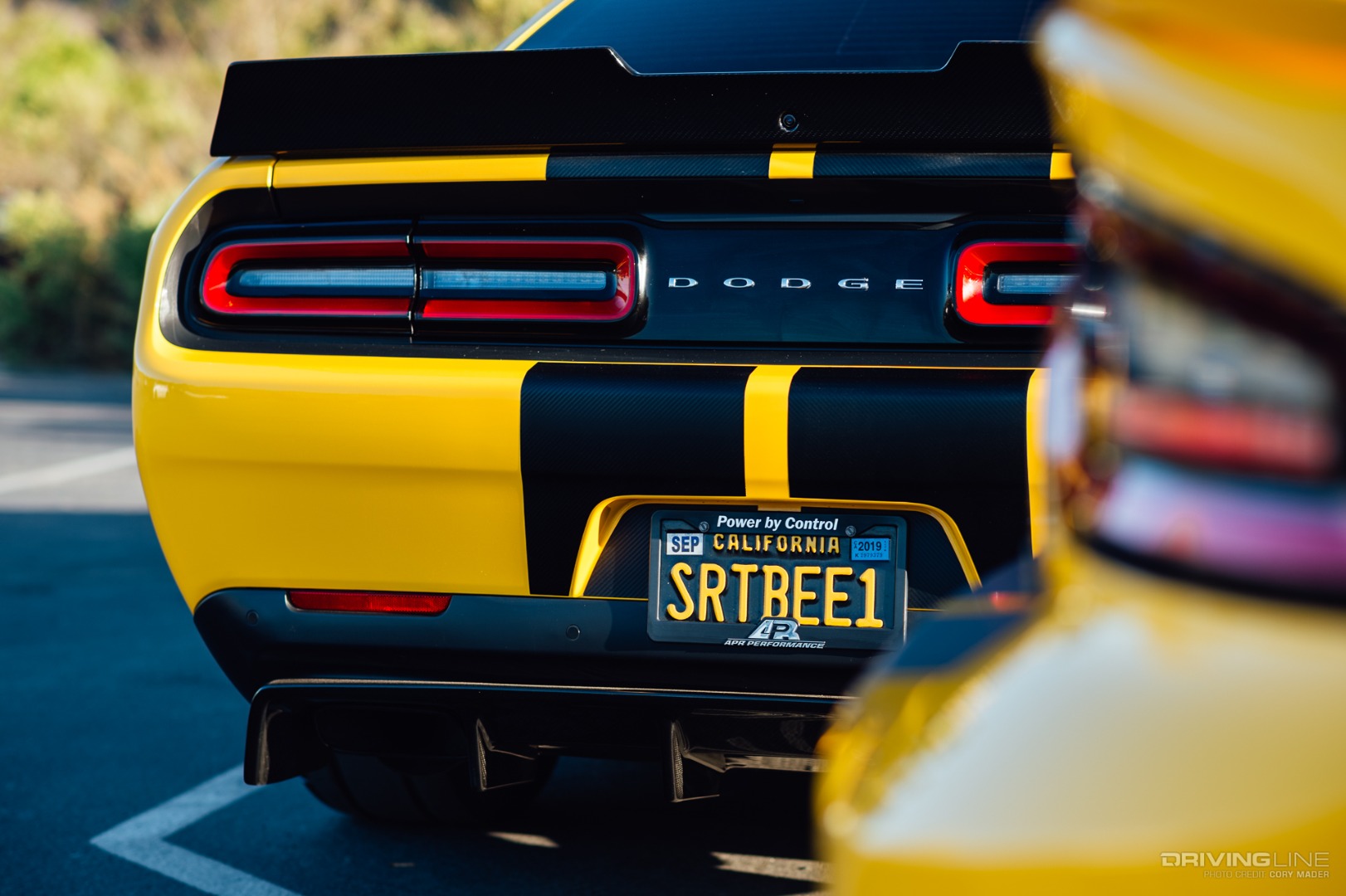 SRTBees Dodge Challenger Hellcat Rear