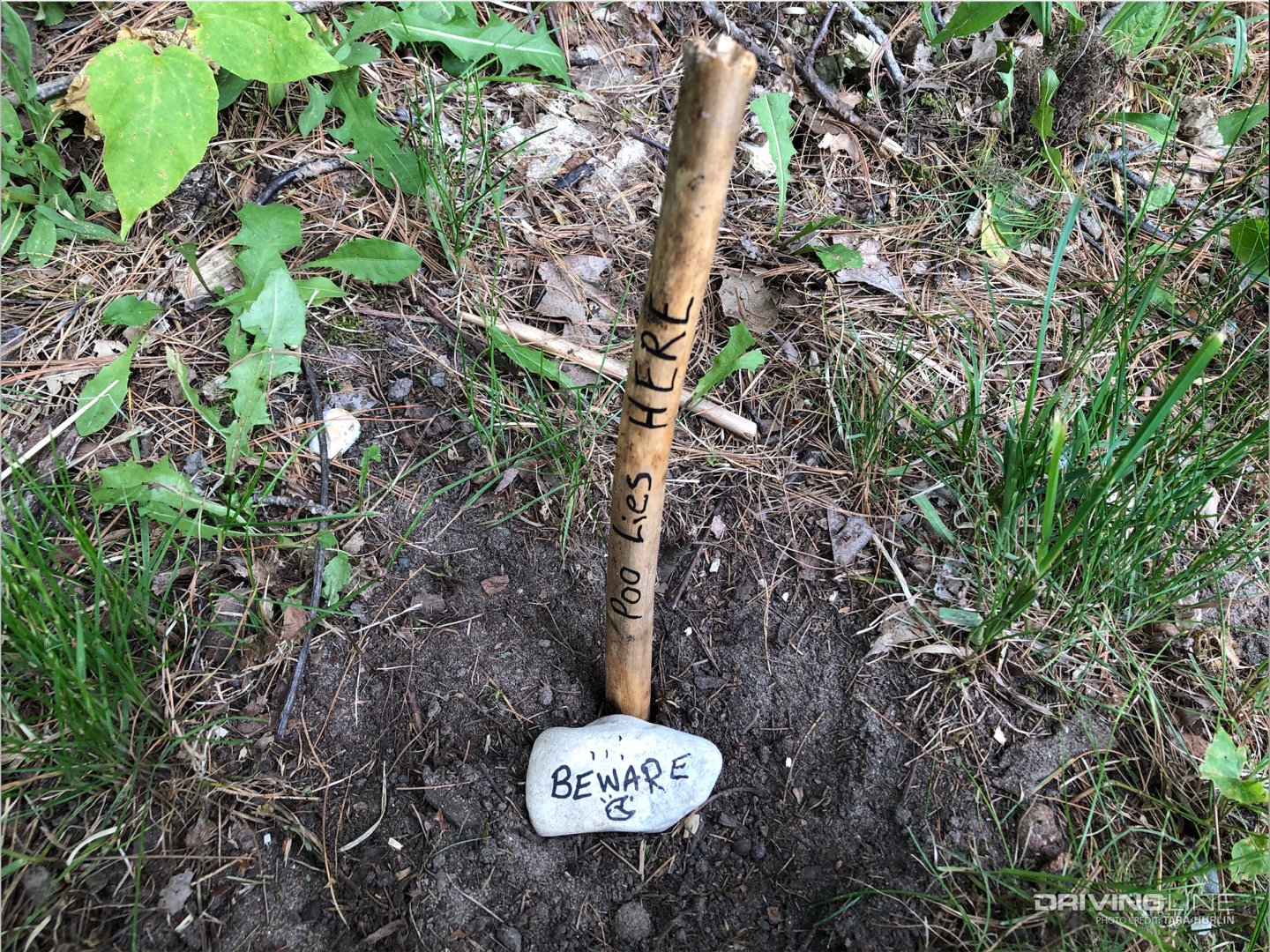 Be responsible and warn others after burying your poo.