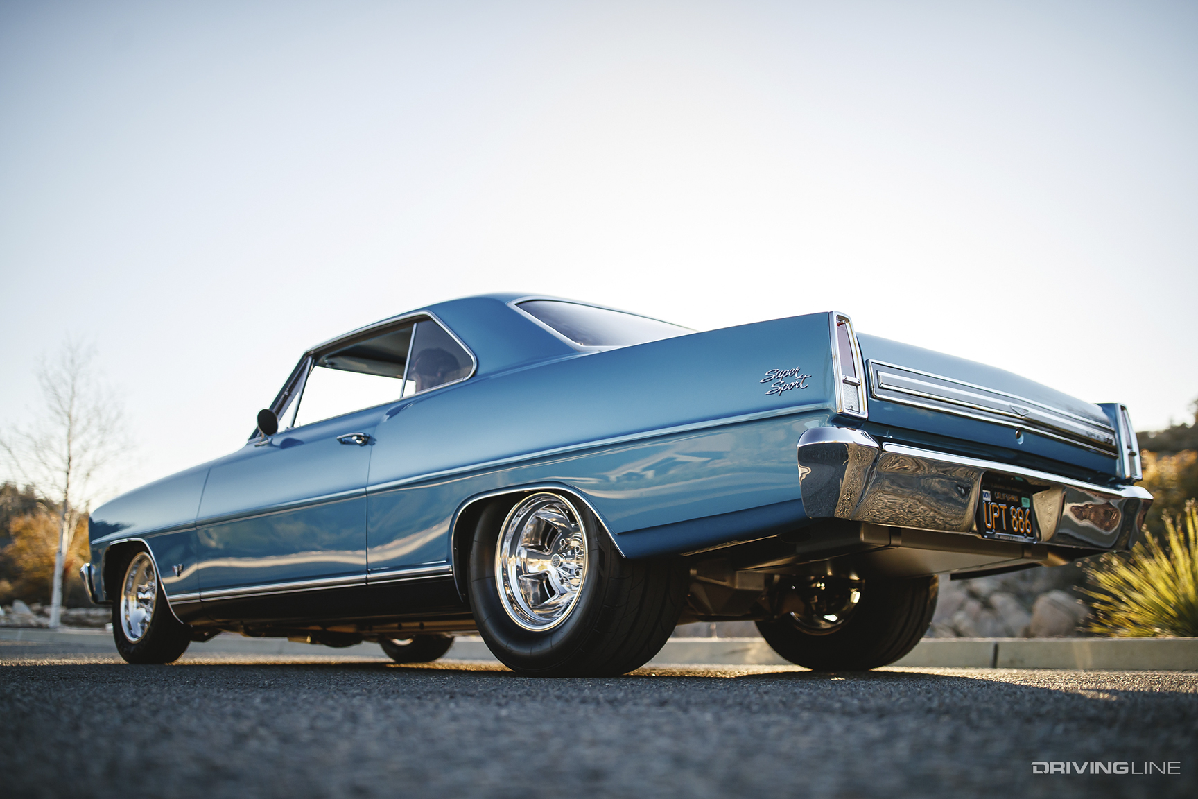 Rear of John Packard's '67 Nova SS