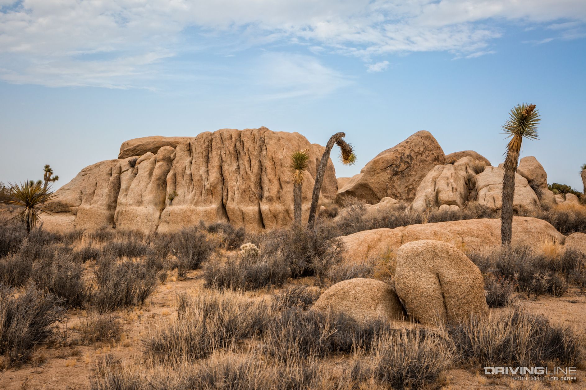 006 geology tour road joshua tree national park