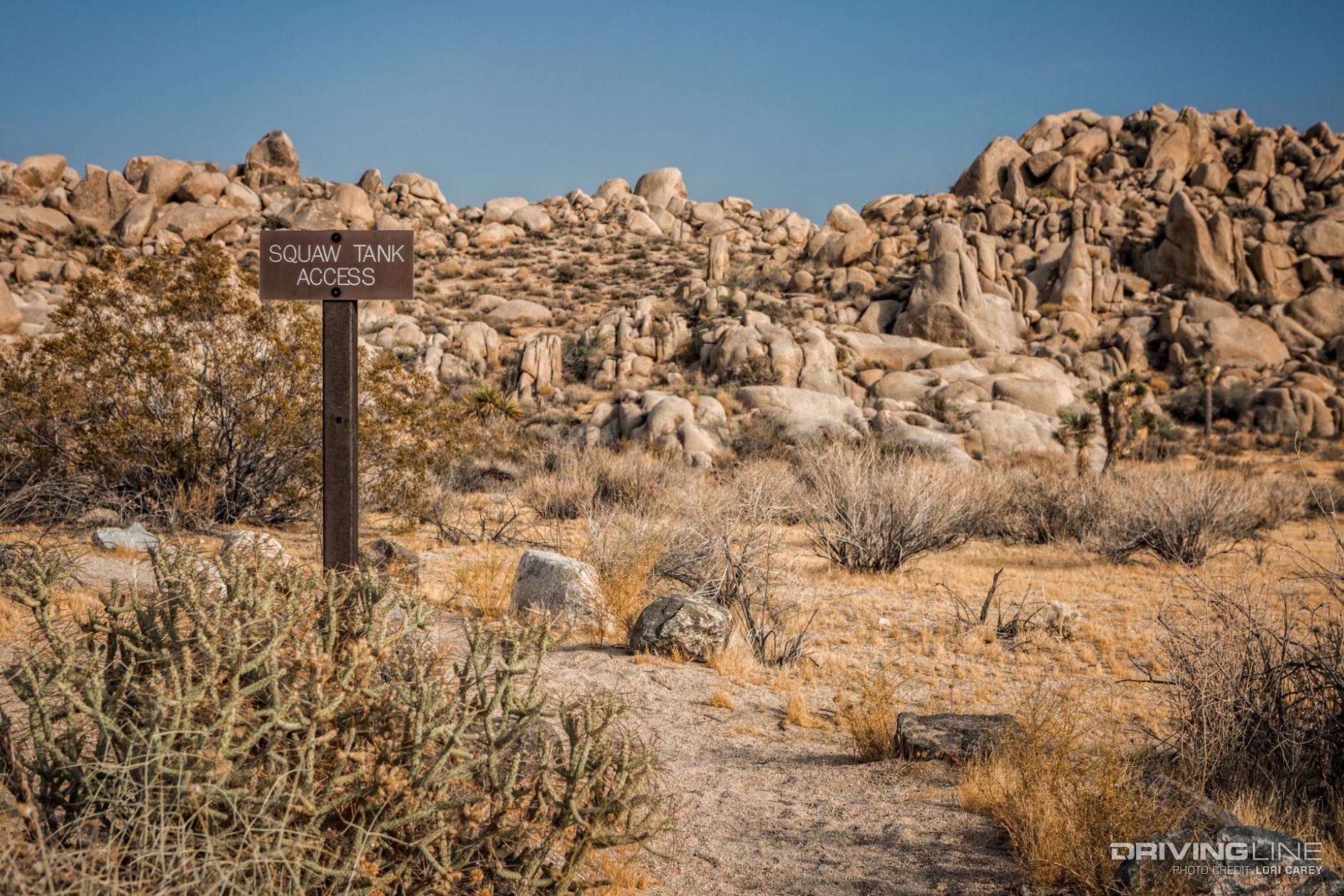10 squaw tank geology tour road joshua tree national park