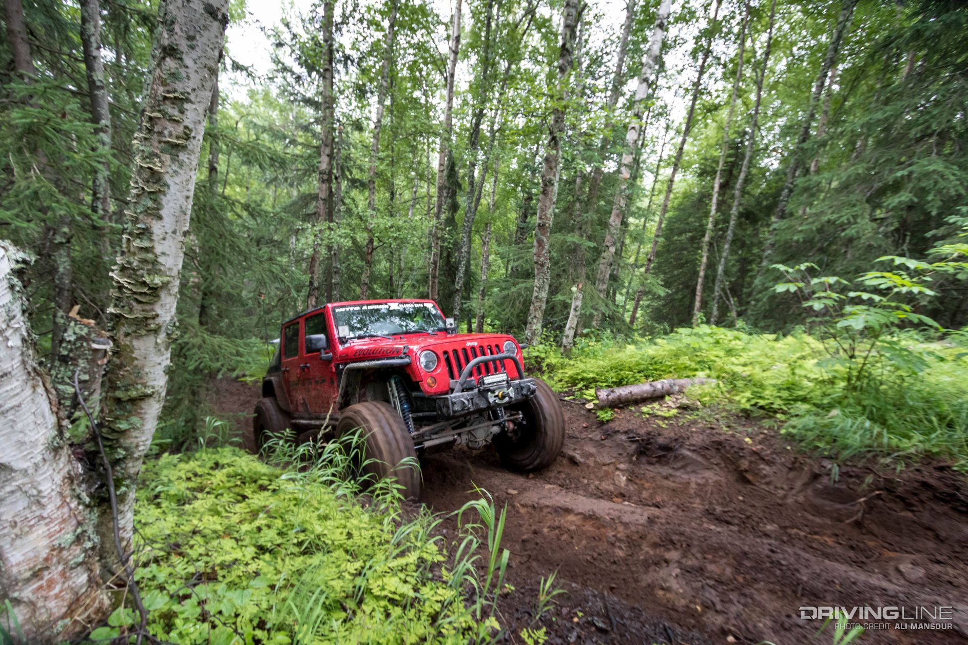 003-baldy-trail-alaska-jkx-2016
