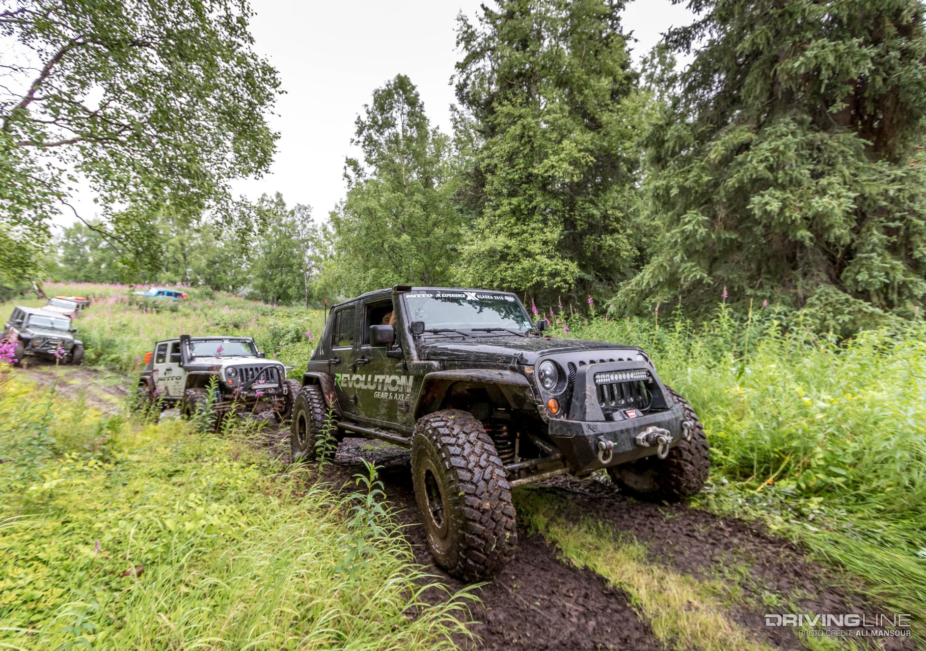 004-baldy-trail-alaska-jkx-2016