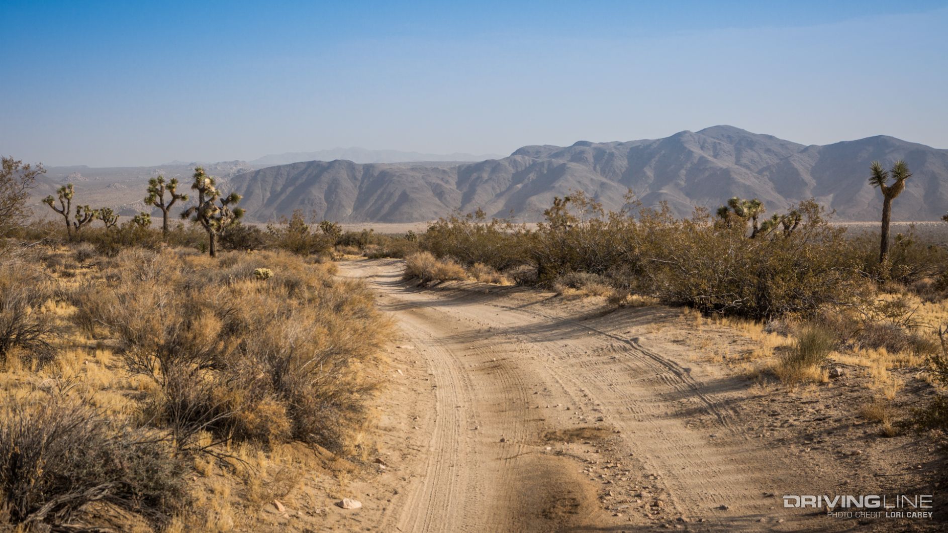 003_Berdoo_Canyon_Trail_Joshua_Tree_National_Park