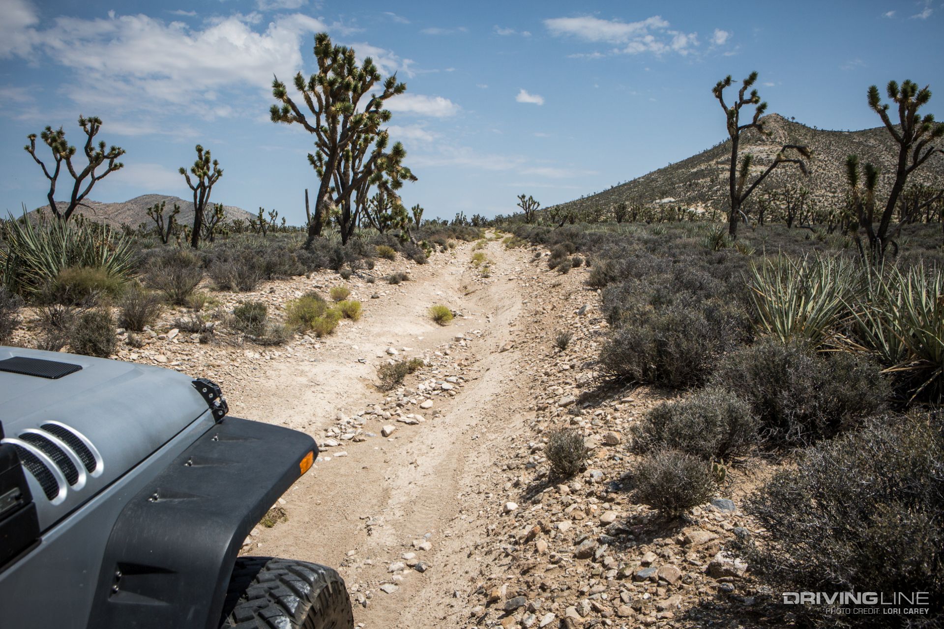 Kessler Peak Trail Off-Road Trail Review - Mojave Desert