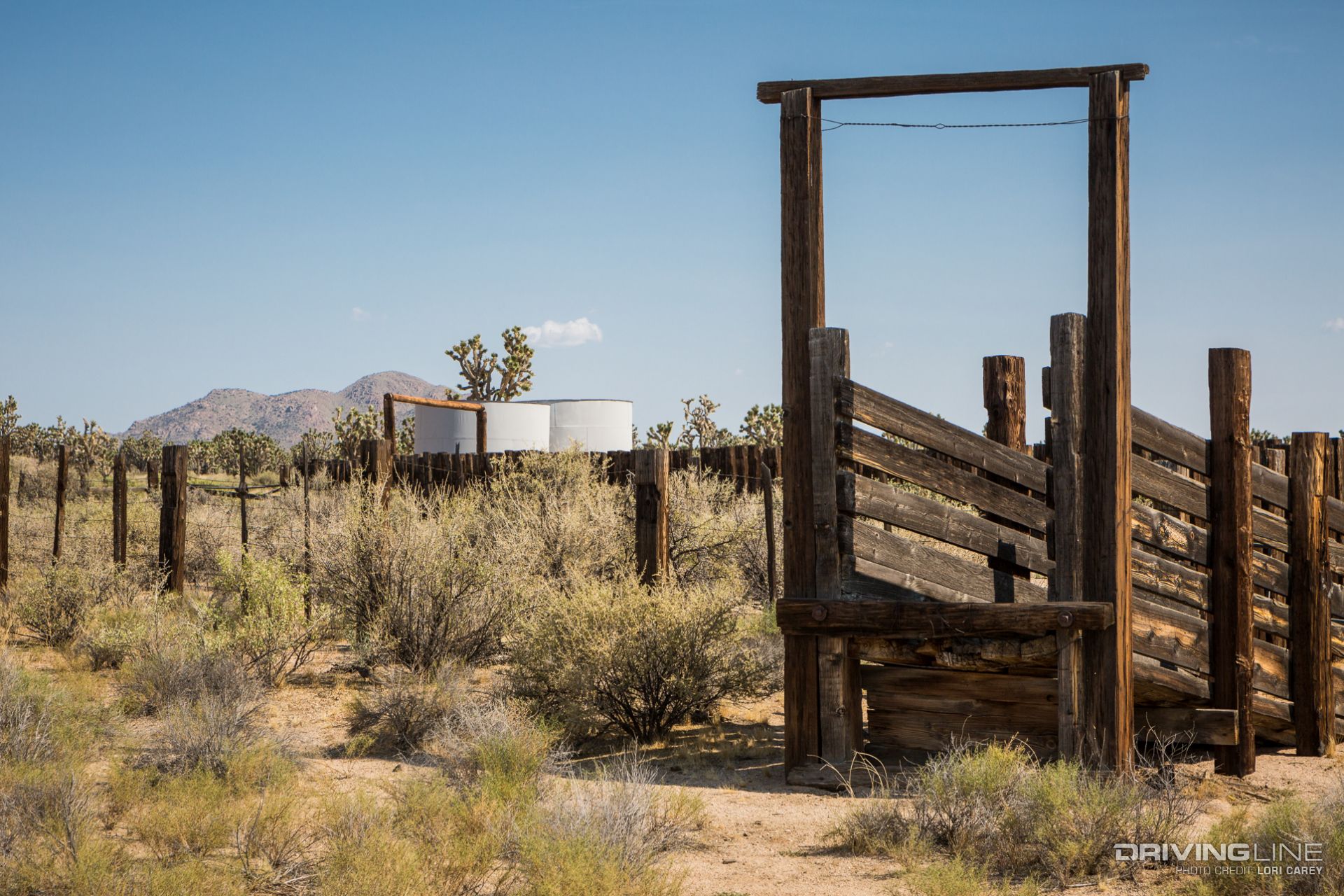Kessler Peak Trail Off-Road Trail Review - Mojave Desert