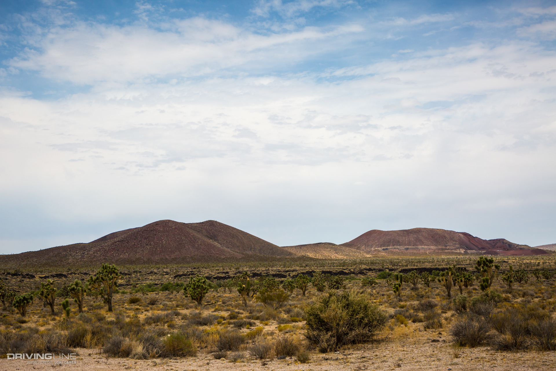 cinder cones seen from Aiken Mine Trail