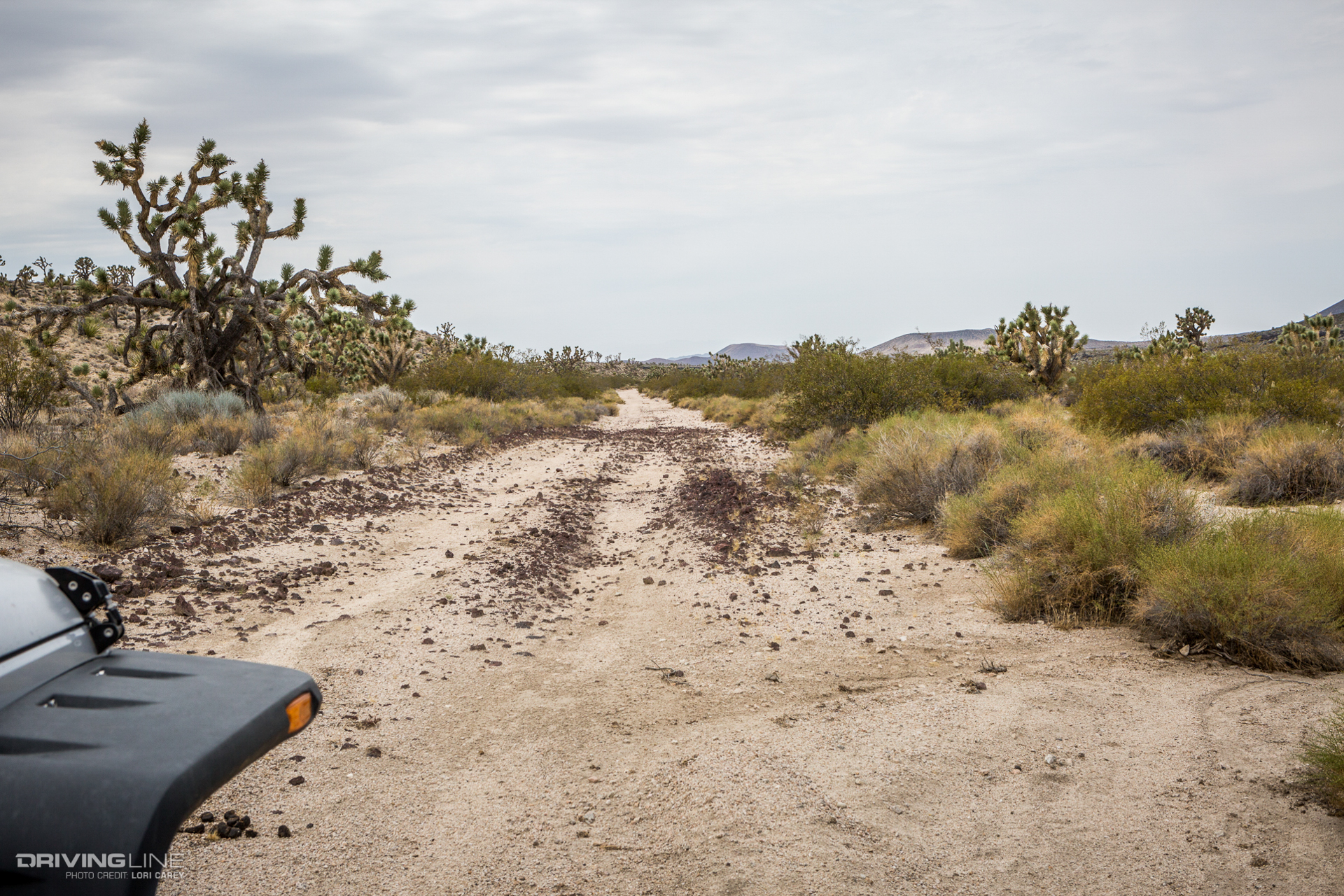 Aiken Mine Trail entrance