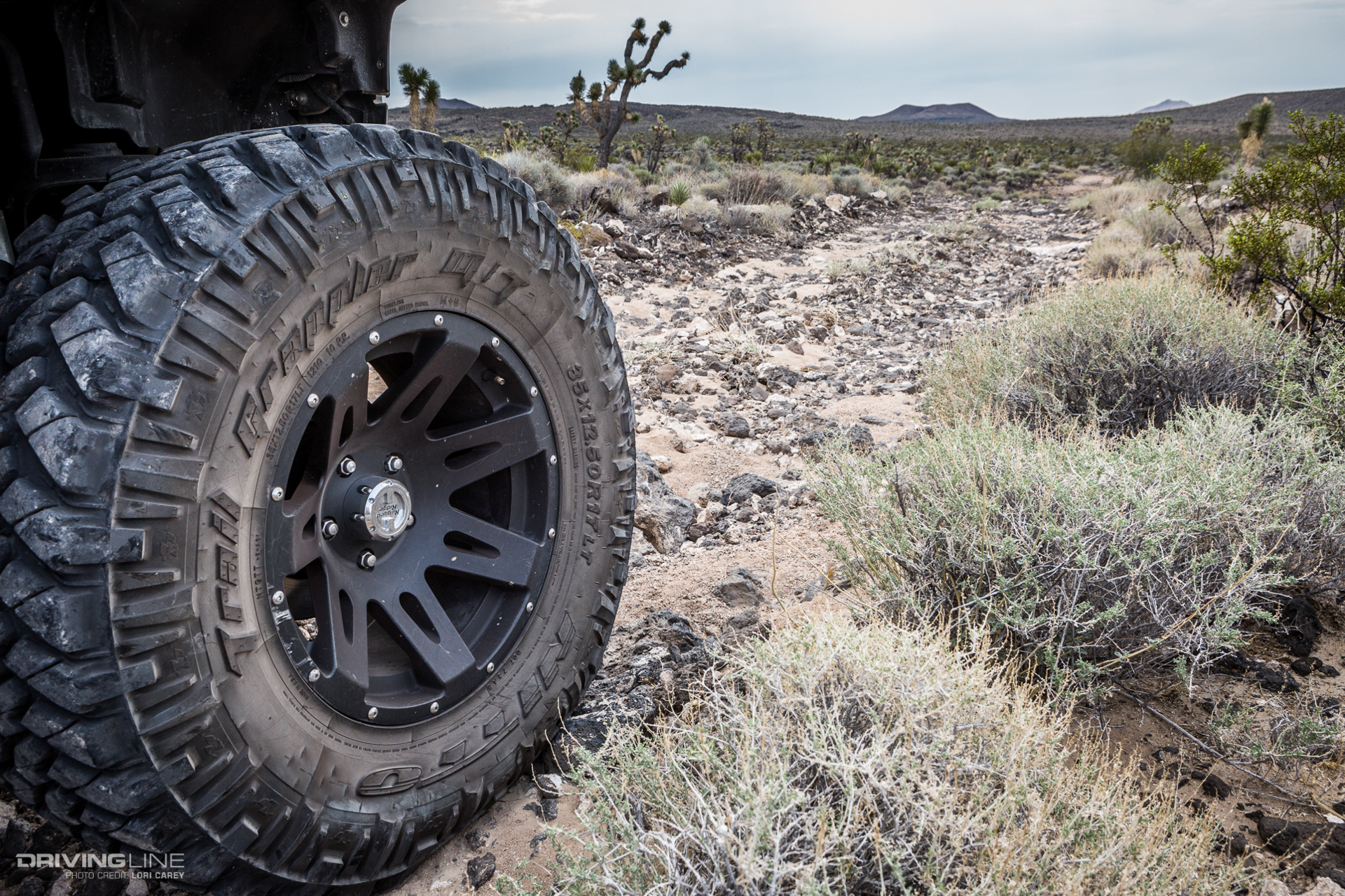 Nitto Trail Grapplers on Aiken Mine Trail