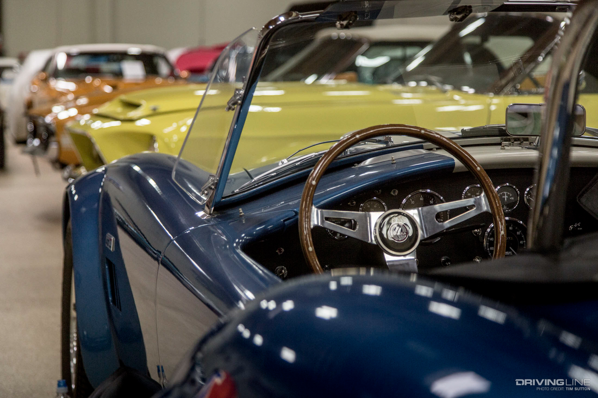 Ford Shelbys - Segerstrom Collection