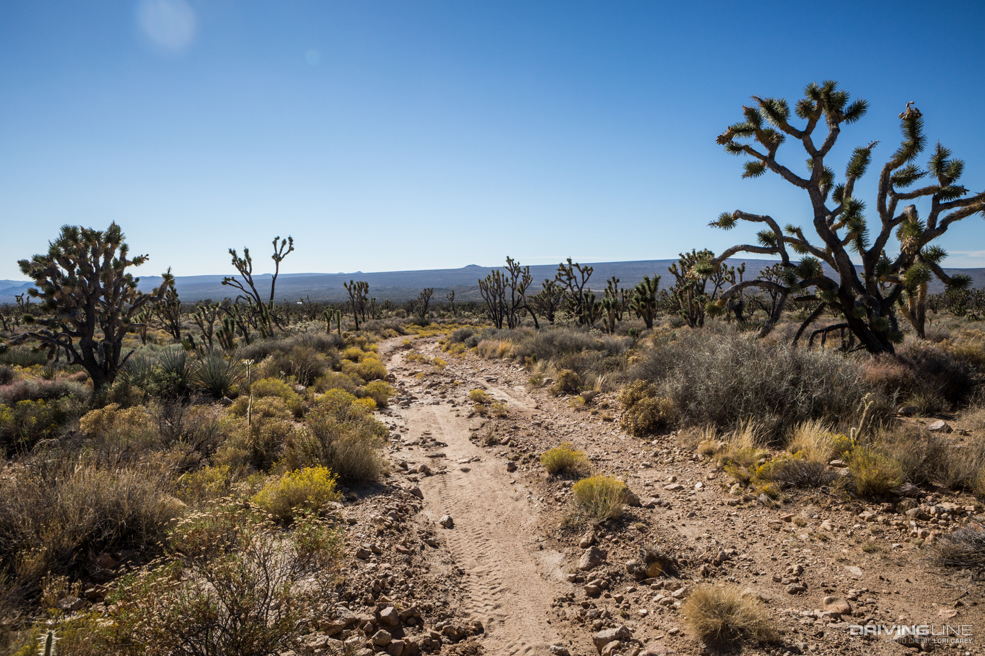 Off-Road Trail Review - Death Valley Mine Trail Mojave Desert