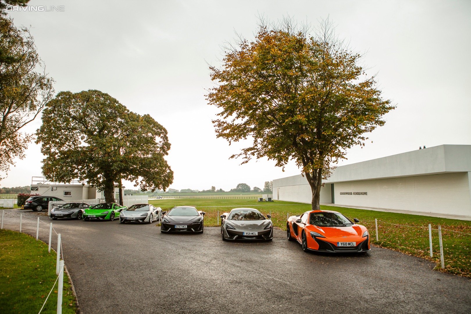 All the colours, all the sizes