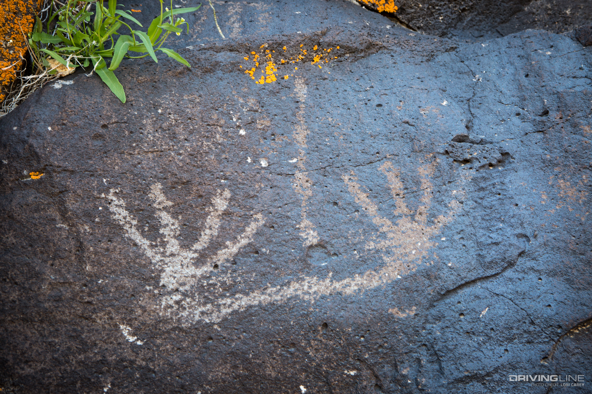 011 surprise tank petroglyphs