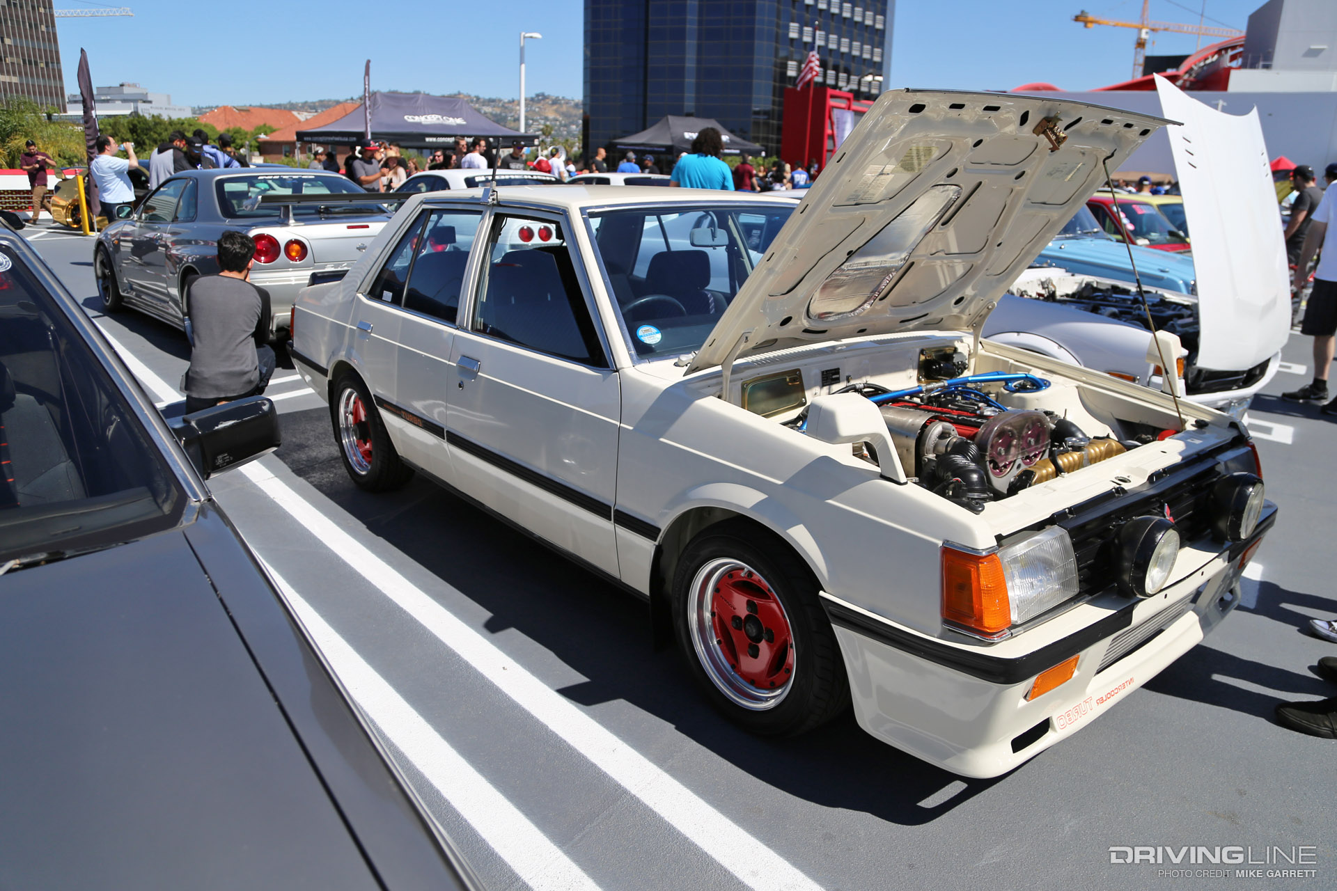 petersen japanese day 17