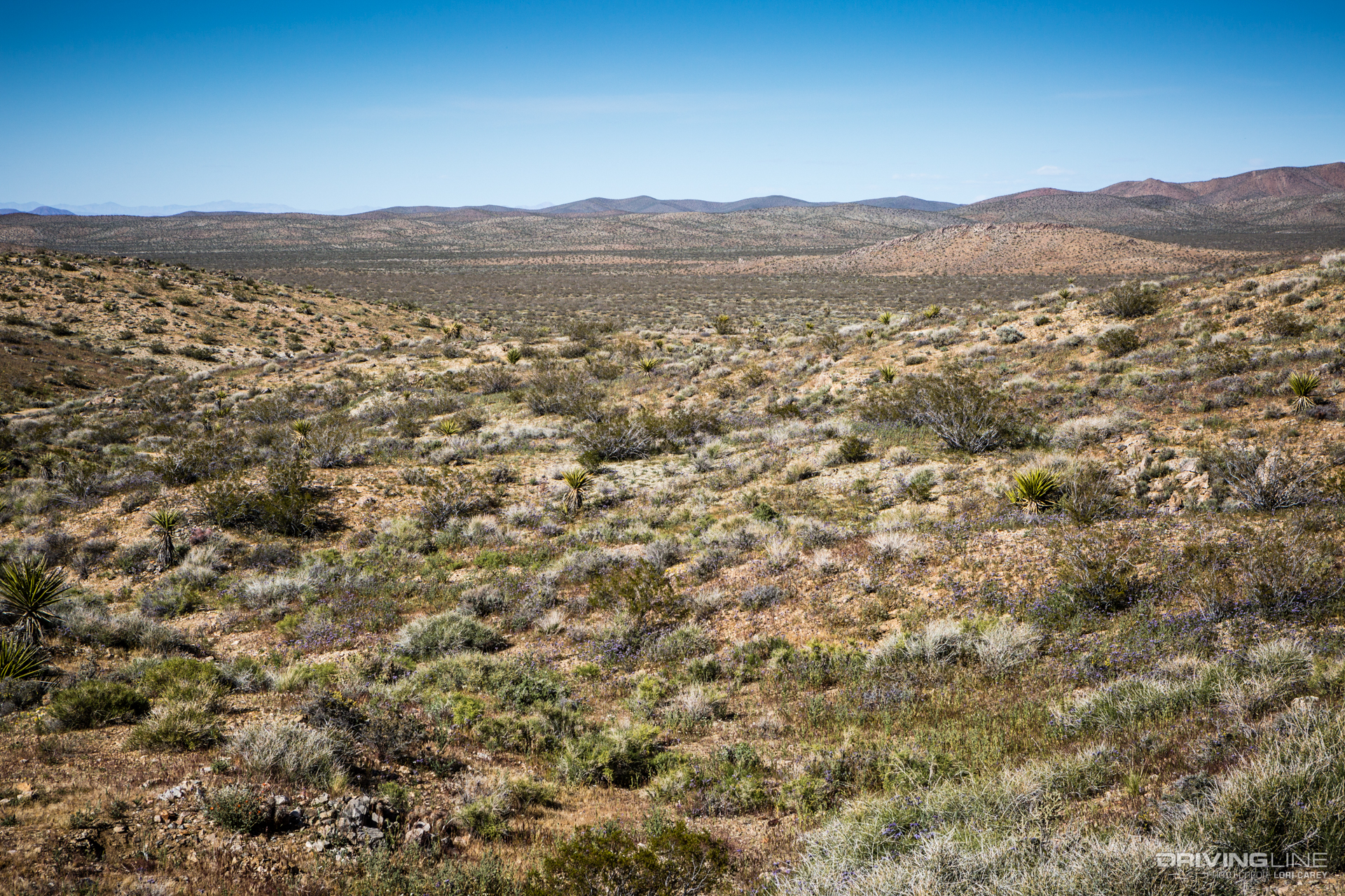 011 lucerne valley ord mountain