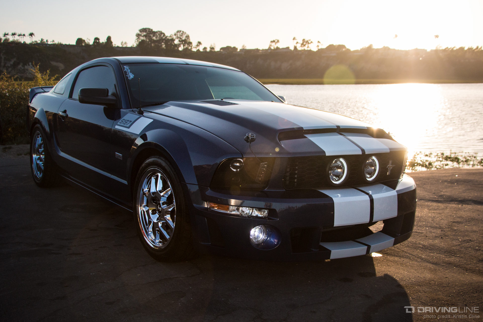 2006 Ford Mustang GT - Blue and White