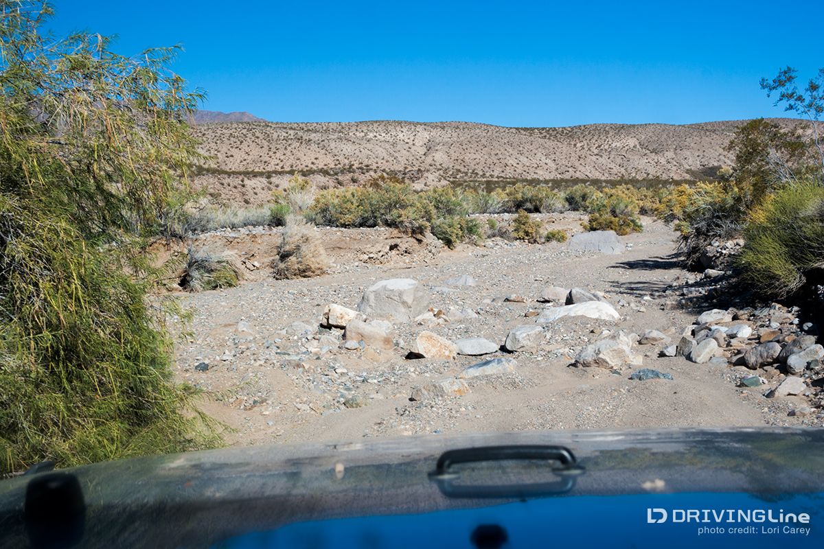 kingston-wash-trail-crusty-bunny-ranch-review-holiday-offroading-10