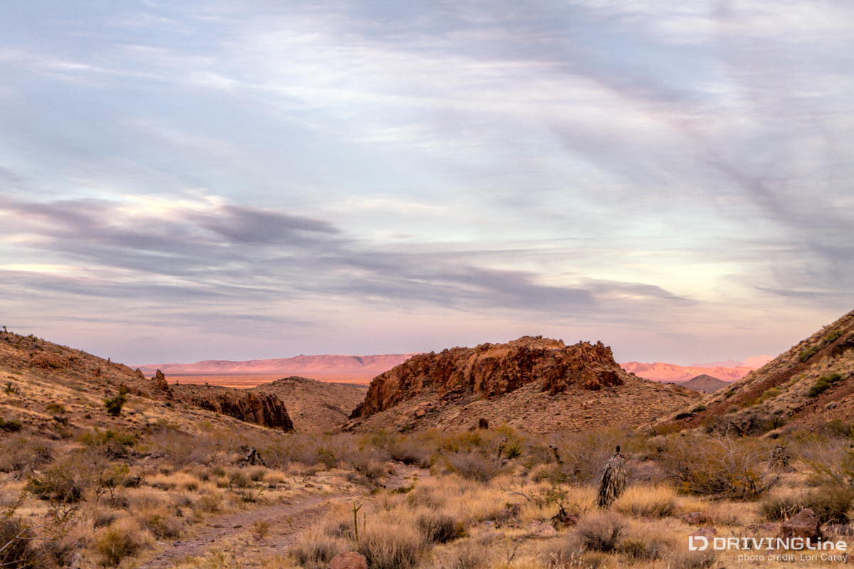 View from our camp in the Hackberry Mountains, Mojave National Preserve