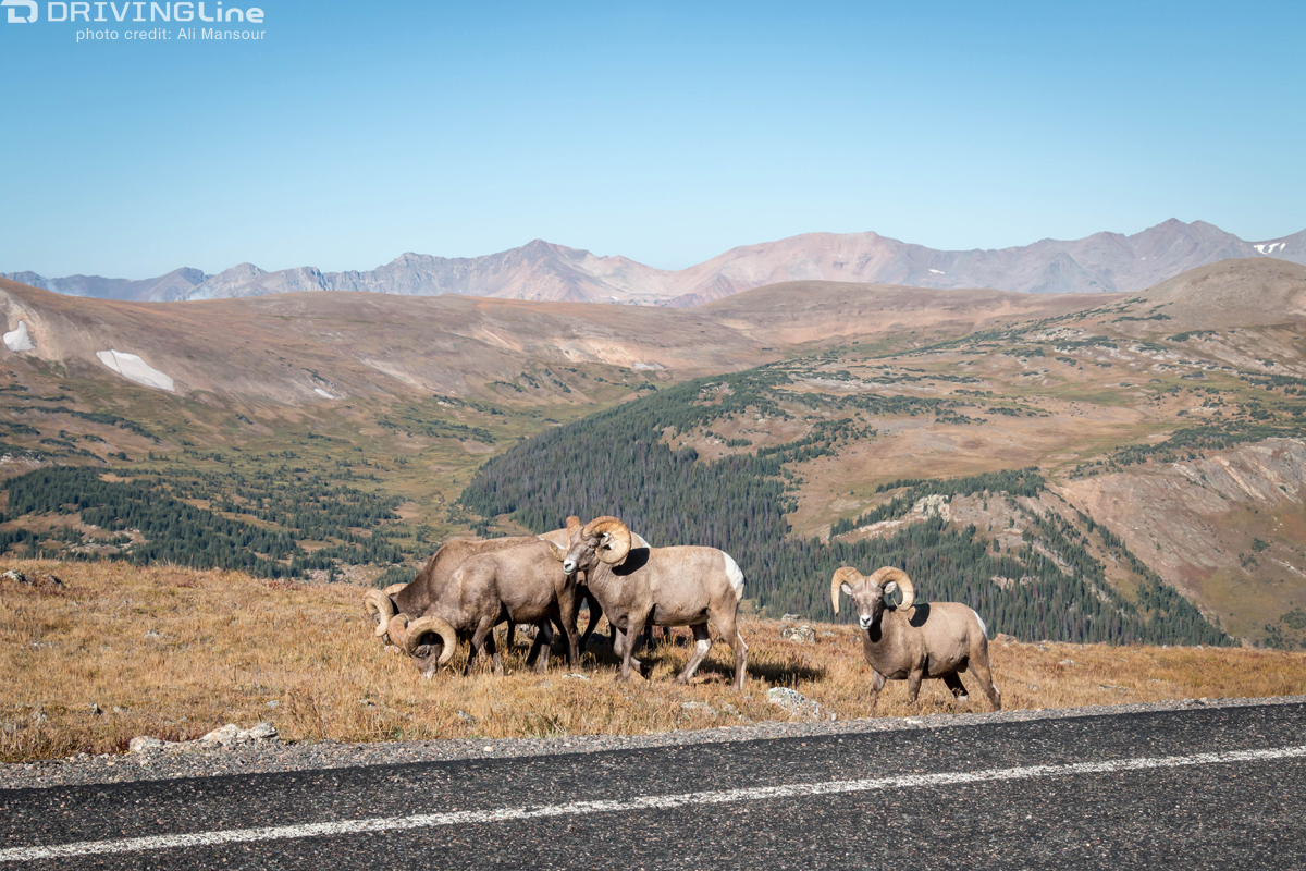 2015-nitto-tire-jkx-west-coast-day-4-sidewinder-trail-colorado (24)