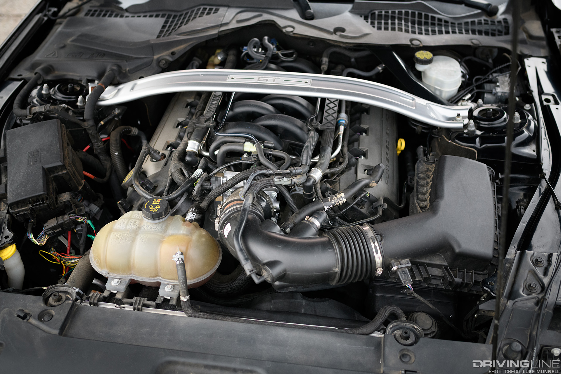 S550 Mustang GT Engine Bay