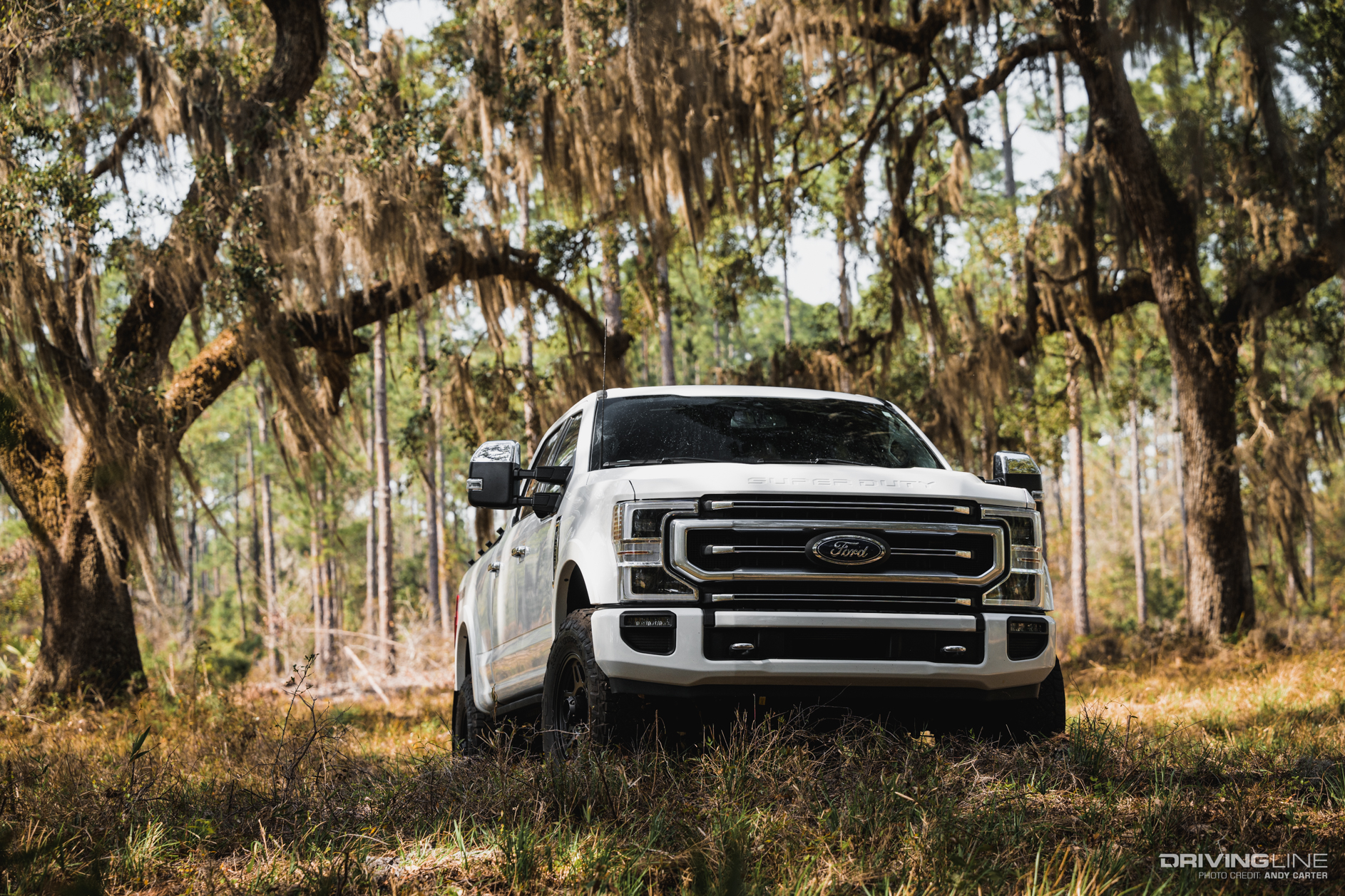 Ford F250 Tremor on South Georgia trail