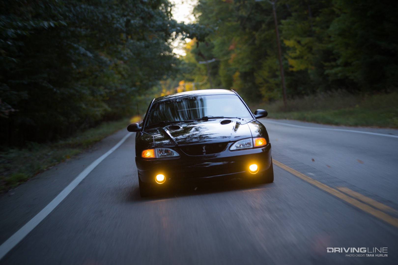 Ford Mustang Cobra head-on highway view