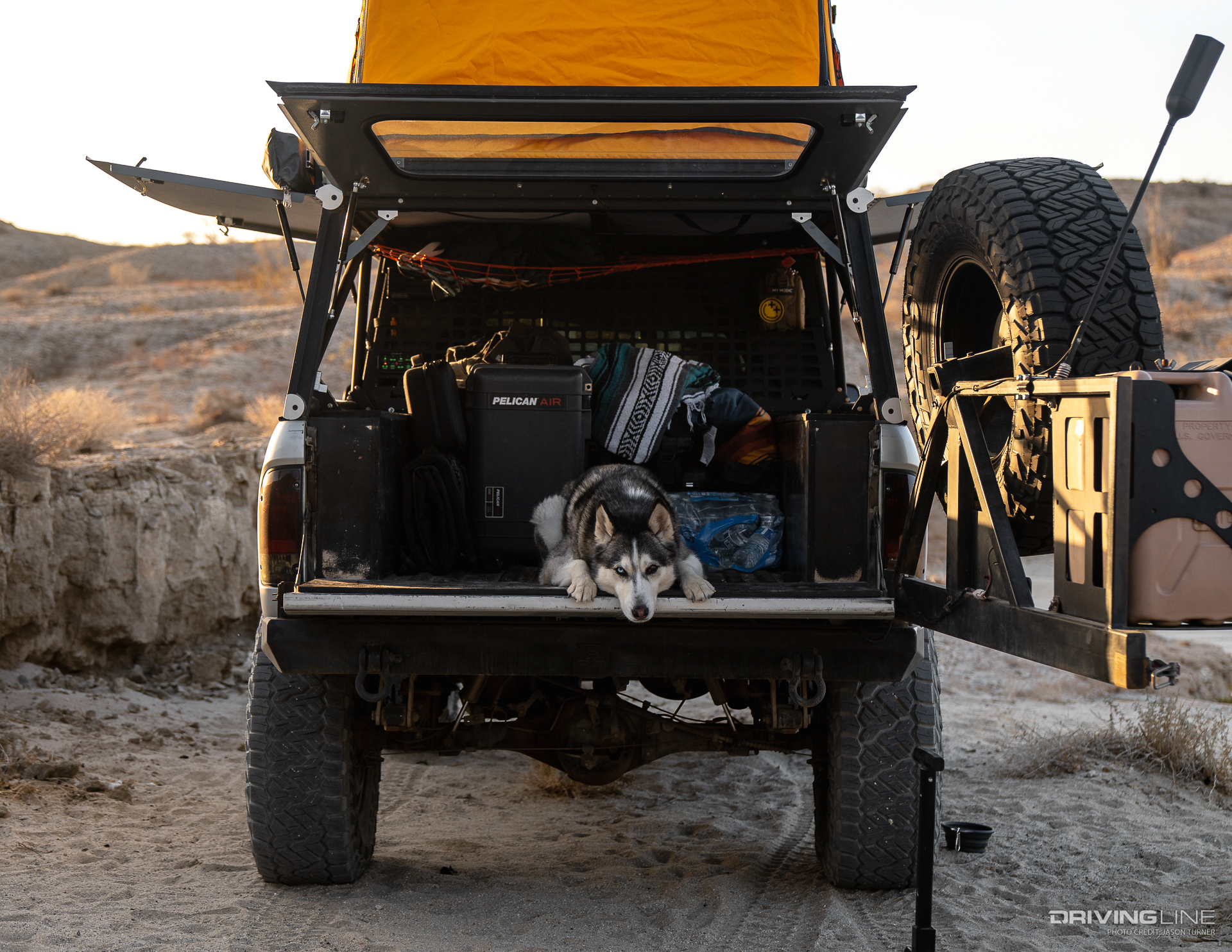 Off-Roading with Dogs tailgate