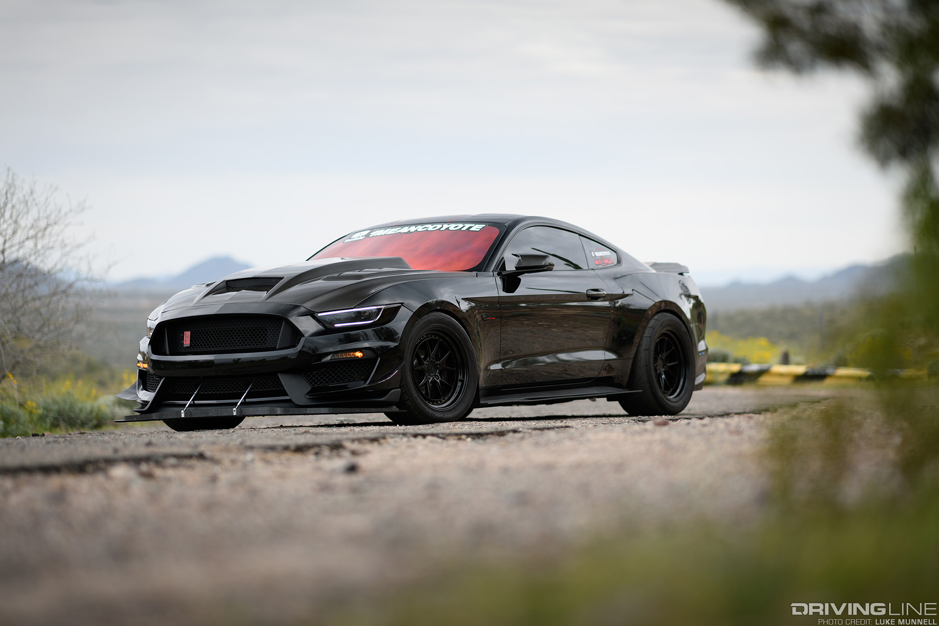S550 Mustang GT on Nitto NT555 RII